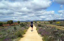 Spain-Galicia-St James Way - Sarria to Santiago (guided)